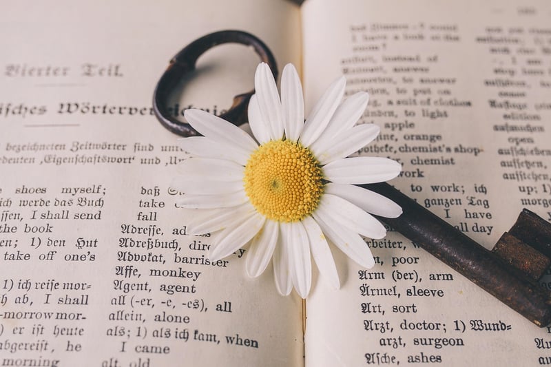 Translation Tools